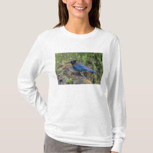 Camiseta Canadá: Colúmbia Britânica, Yoho NP, charneca-azul