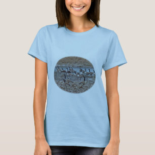 Camiseta Canadá Geese no reservatório Green Lane