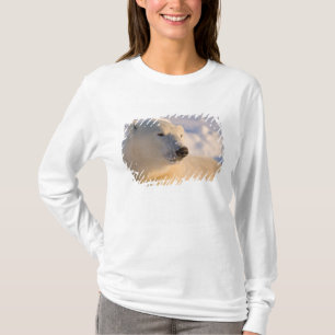 Camiseta Canadá, Manitoba, Baía de Hudson Urso Polar