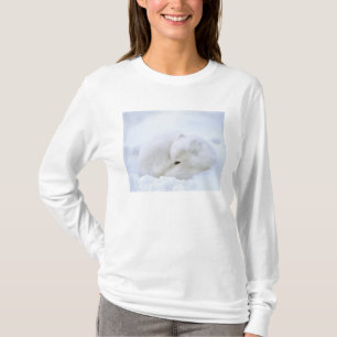 Camiseta Canadá, Manitoba, Churchill. Raposa do Ártico