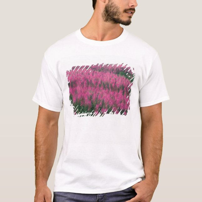 Camiseta Canadá, Quebec, Gaspe. Flores Roxas de Lythrum, (Frente)