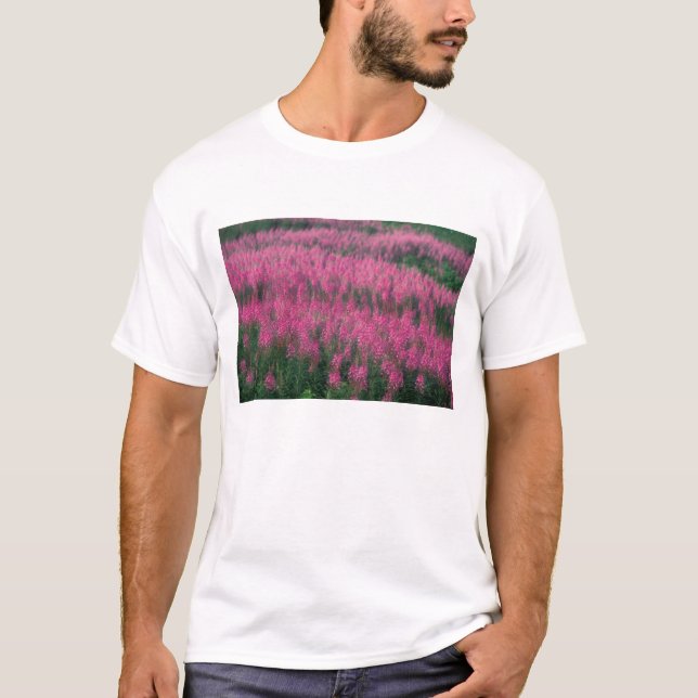 Camiseta Canadá, Quebec, Gaspe. Flores Roxas de Lythrum, (Frente)