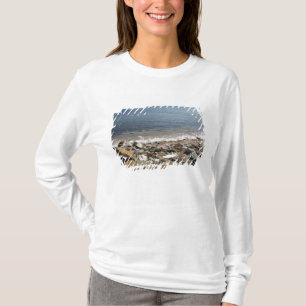 Camiseta Canadá, Quebec. Trem da VIA Rail Canada O