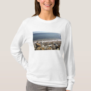 Camiseta Canadá, Quebec. Trem da VIA Rail Canada O