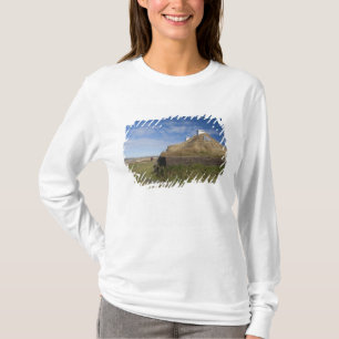 Camiseta Canadá, Terra Nova e Labrador, L'Anse Aux 4