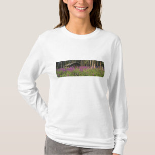 Camiseta Canadá, Yukon, área de Ross River, Cabana abandona