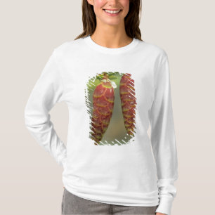 Camiseta Canadá, Yukon, Cones de Abeto Preto