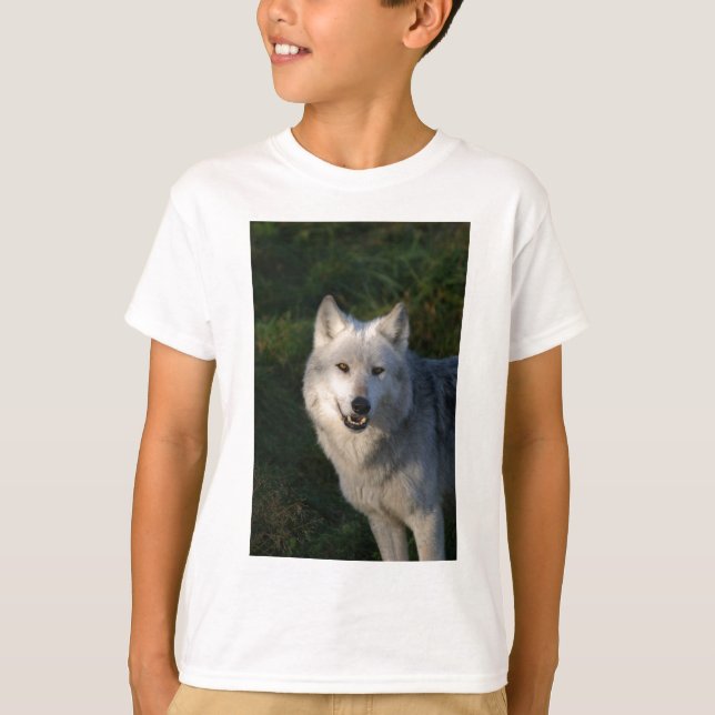 Camiseta Canadiana de Lobos de Madeira (Frente)