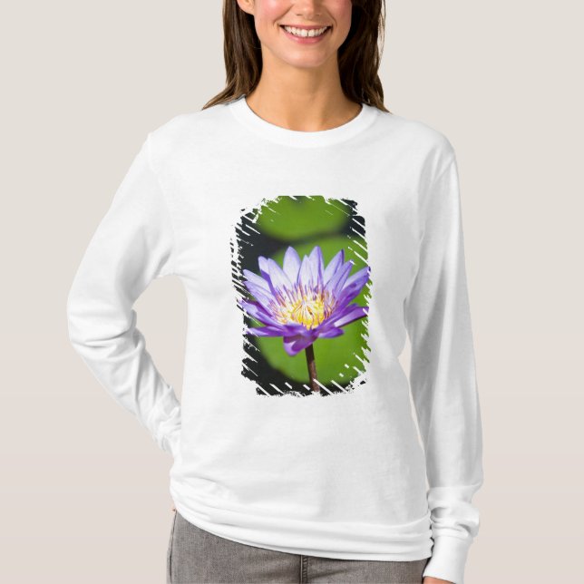 Camiseta Cancun, México (Frente)