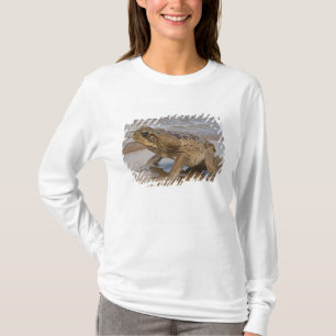 Camiseta Cane Toad Rhinella marina, anteriormente Bufo