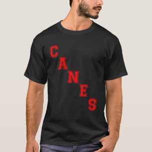 Camiseta Canes Ayres 90
