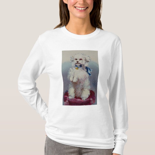 Camiseta Caniche com fita azul (Frente)