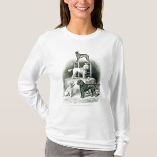 Camiseta Caniches e Whippet - grupo de Sr. Walton