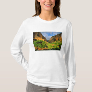 Camiseta Cânion Kolob no Cânion Zion no Parque Nacional Zio