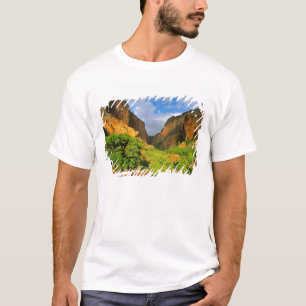 Camiseta Cânion Kolob no Zion Canyon no Parque Nacional Zio
