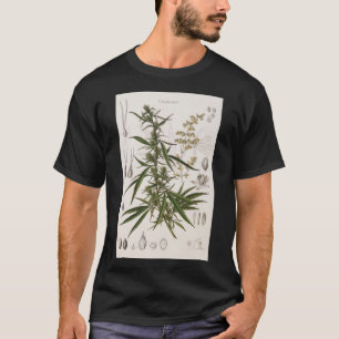 Camiseta Cannabis Sativa - Poster de entrada botânica fran