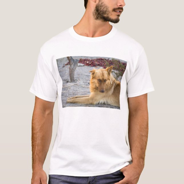 Camiseta Cão abandonado (Frente)