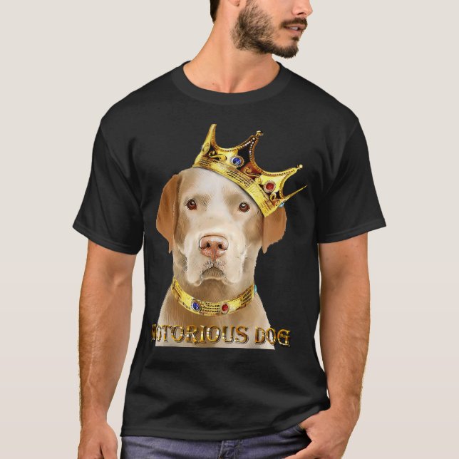 Camiseta Cão Amarelo Labrador Retriever Notório (Frente)
