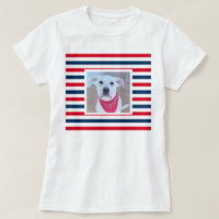 Cão Cachorro Vermelho Branco Azul Strips Foto Patr