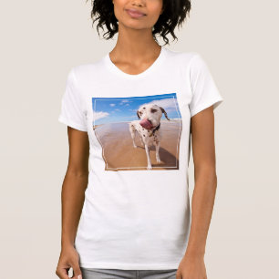 Camiseta Cão Dalmatian na praia