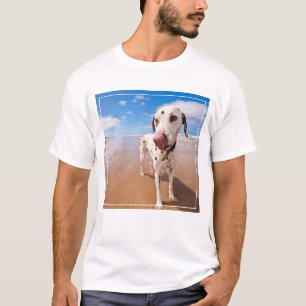 Camiseta Cão Dalmatian na praia