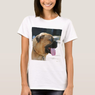 Camiseta Cão de Bullmastiff