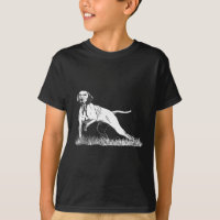 Cão De Caça De Aves Vizsla Para Caçadores