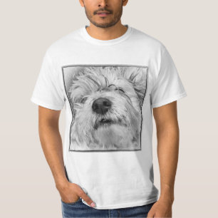 Camiseta Cão de Coton de Tulear