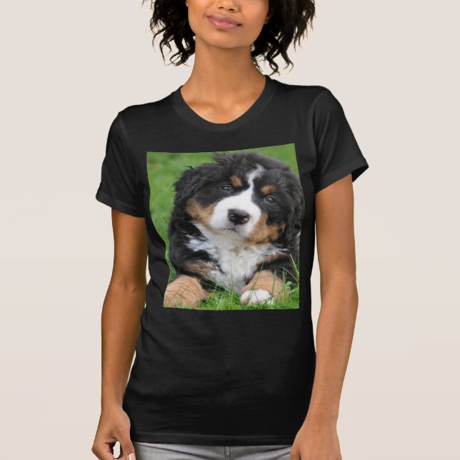 Camiseta Cão de montanha de Bernese (Frente)