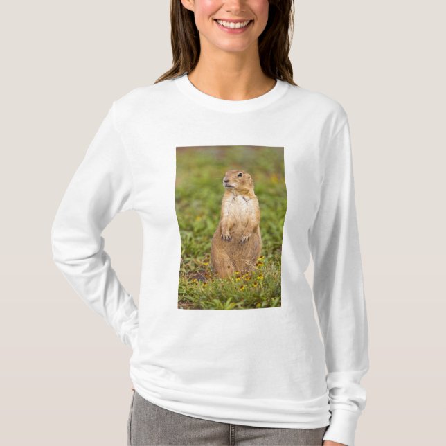 Camiseta Cão-de-pradaria-de-cauda-preta Cynomys (Frente)
