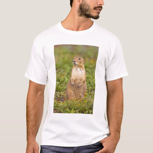 Camiseta Cão-de-pradaria-de-cauda-preta Cynomys (Frente)