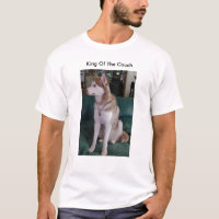 Cão de Rory, rei Sofá