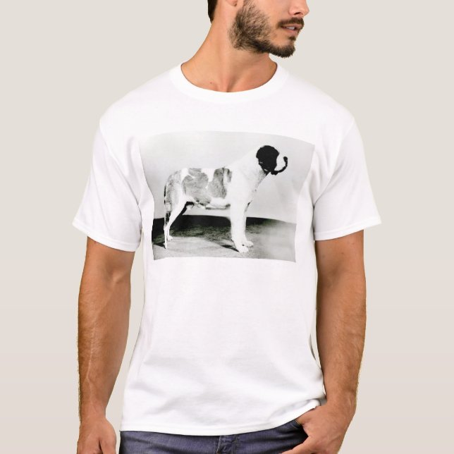 Camiseta Cão de St Bernard (Frente)