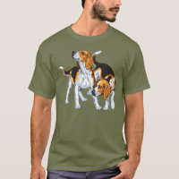 cão do lebreiro