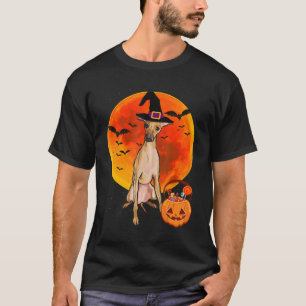 Camiseta cão halloween italiano greyhound jack o lanterno