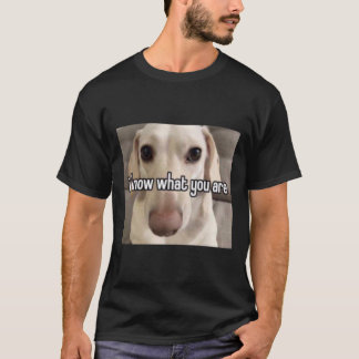 Camiseta cão homofóbico eu sei o que você é Pr Fotográfico