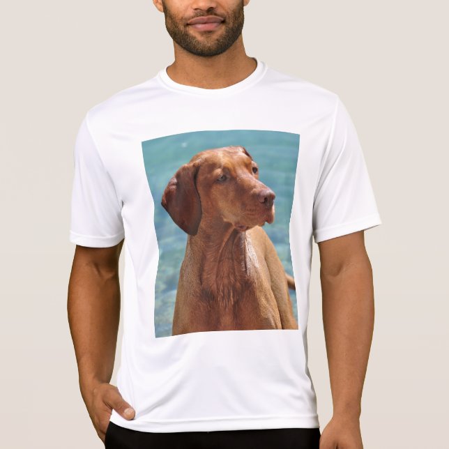 Camiseta Cão Magyar Vizsla (Frente)