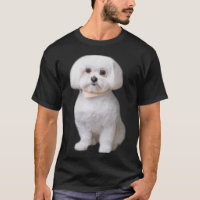 Cão maltês