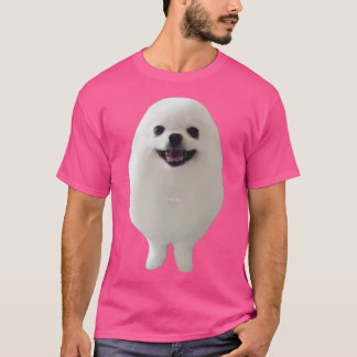 Camiseta cão no ovo 270