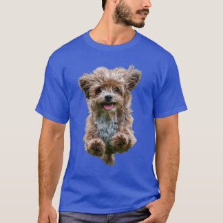 Camiseta cão no ovo 304