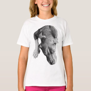 Camiseta Cão-Olho de Pássaro: Mistura Pitbull no repouso