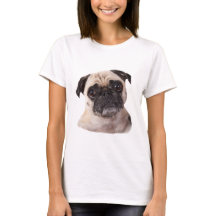 Cão pequeno bonito do pug