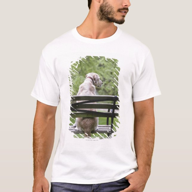 Camiseta Cão que senta-se no banco de parque (Frente)