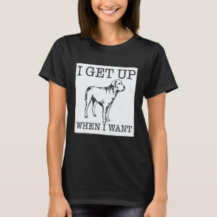 Camiseta Cão Retriever do Labrador
