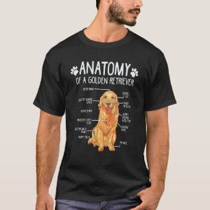 Camiseta Cão Retriever Dourado Anatomia