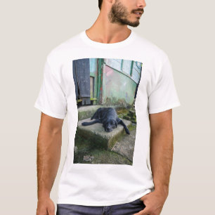 Camiseta Cão sonolento