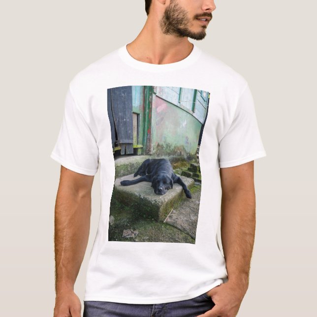 Camiseta Cão sonolento (Frente)