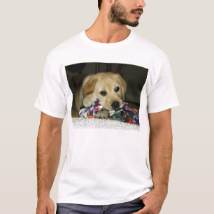 Camiseta Cãozinho amarelo LR com brinquedo