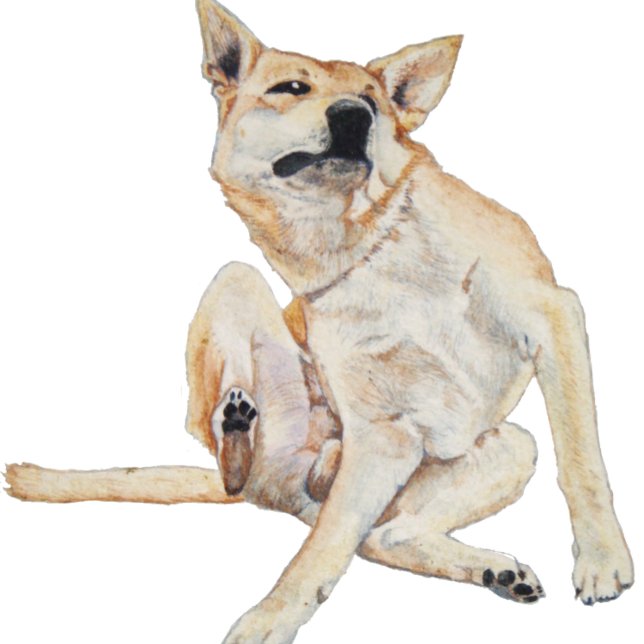 Camiseta cãozinho coçando pintura com slogan engraçado (Criador carregado)