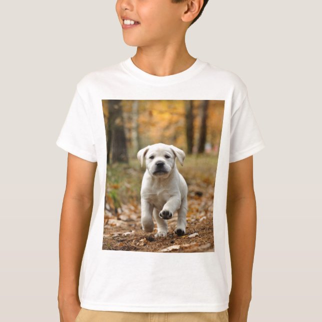 Camiseta Cãozinho do recuperador Labrador (Frente)